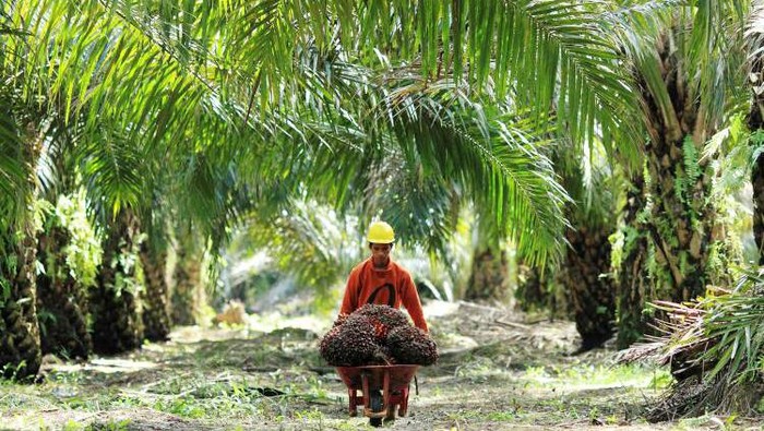 REKAPITULASI DATA PERUSAHAAN TAHUN 2021 SEKTOR PERTANIAN 